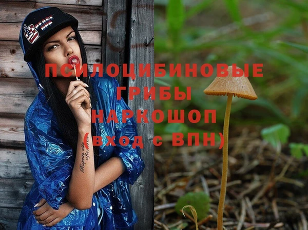 кокс Алексеевка
