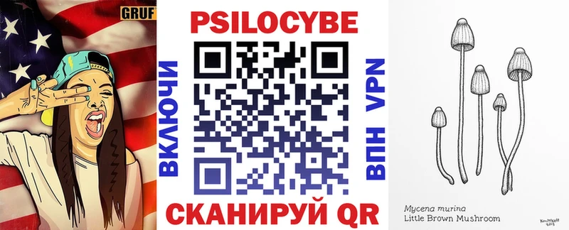 где купить наркоту  Сураж  Галлюциногенные грибы Psilocybine cubensis 